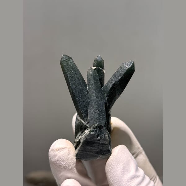 Spray of dark green included quartz crystals from Inner Mongolia — detail view