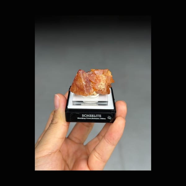 Orange Scheelite Crystal Group from Shuijing, Sichuan — full specimen view 1 of 3