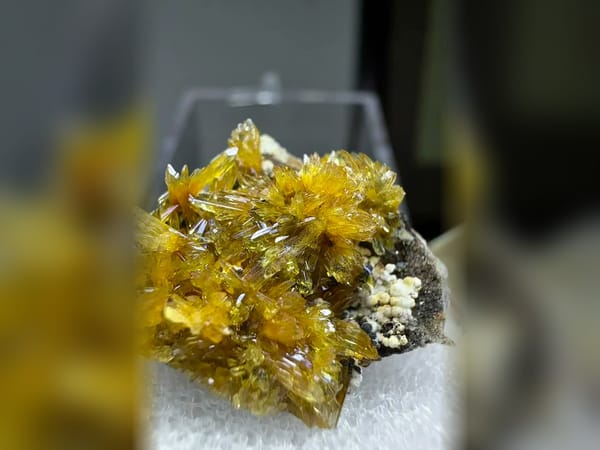 Transparent Gypsum Flower Cluster 2.8 cm, Delicate Mineral Specimen — complete view