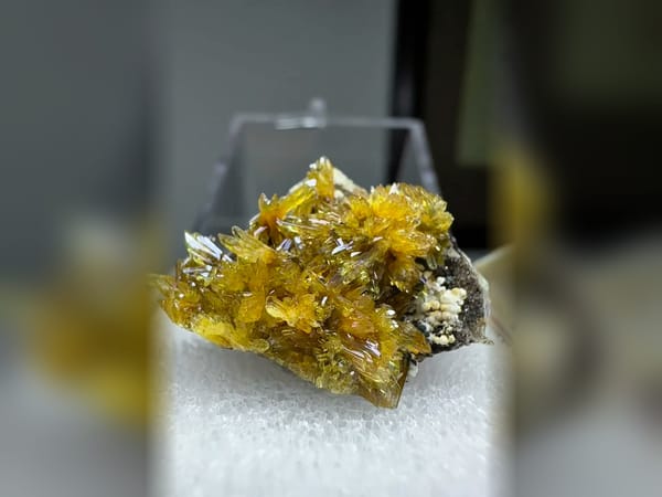Transparent Gypsum Flower Cluster 2.8 cm, Delicate Mineral Specimen — alternate view