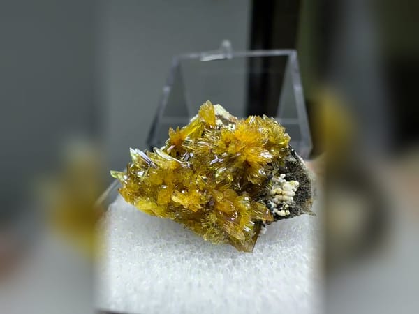 Transparent Gypsum Flower Cluster 2.8 cm, Delicate Mineral Specimen — alternate view