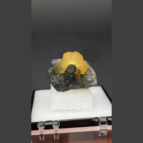 Small amber-brown calcite crystal from Vietnam — detail view