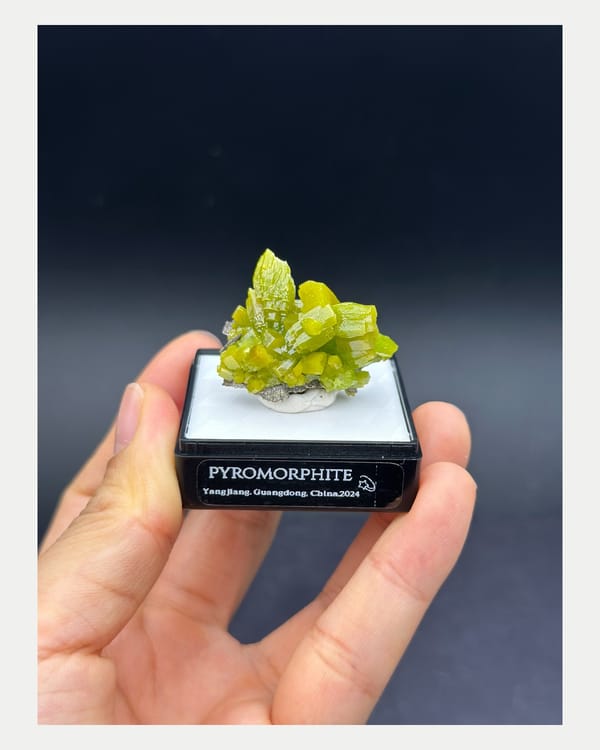 Complete front view of lime-green pyromorphite crystal cluster