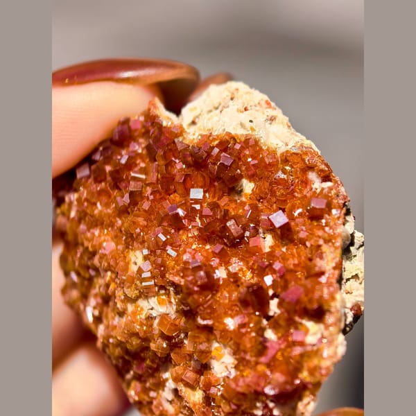 Sparkling Red Vanadinite on Matrix — Morocco - alternate view