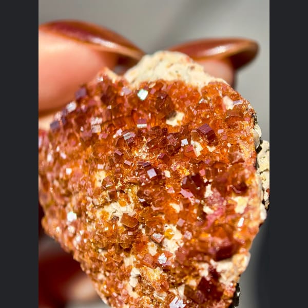 Sparkling Red Vanadinite on Matrix — Morocco - alternate view