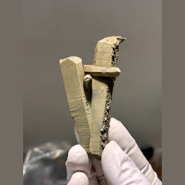 Floater cluster of long coated quartz crystals from Inner Mongolia — complete view