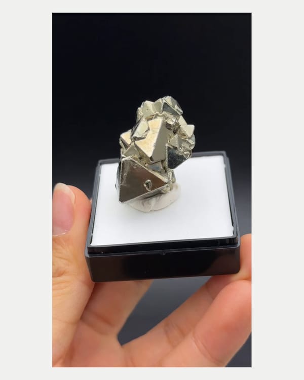 Complete left side view of metallic pyrite octahedra