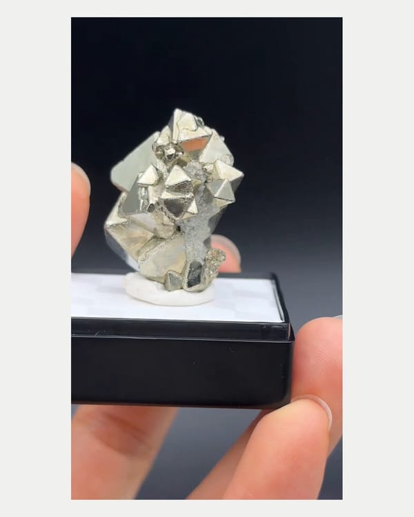 Complete reverse view of upright pyrite cluster