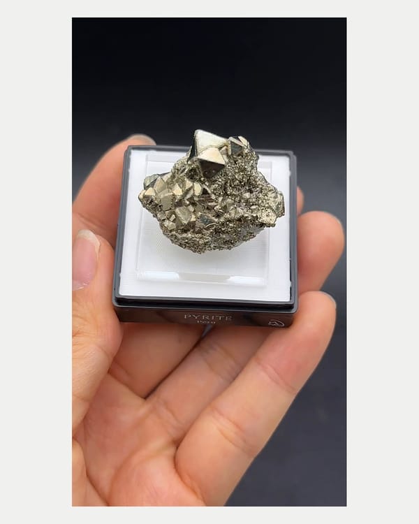 Complete front view of octahedral pyrite on low Peruvian matrix