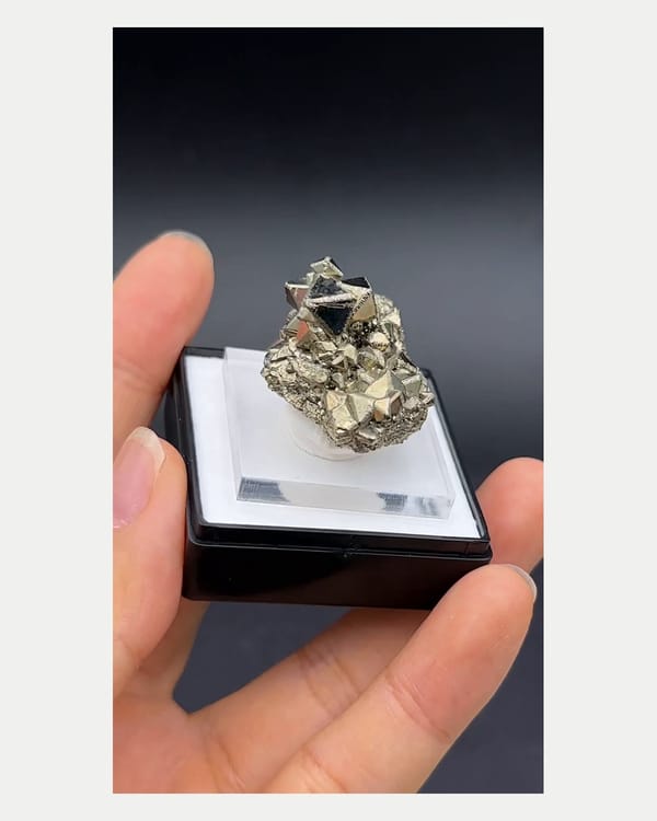 Complete left side view of pyrite octahedra and granular base