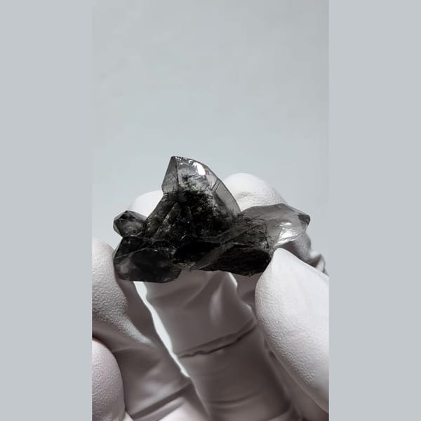 Small smoky quartz cluster with dark hair-like inclusions from Pakistan — complete view