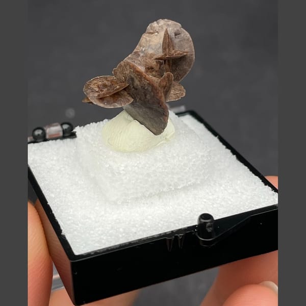 Chocolate calcite from Guangdong — complete view
