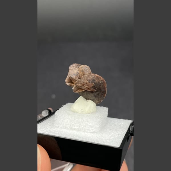 Chocolate calcite from Guangdong — alternate view