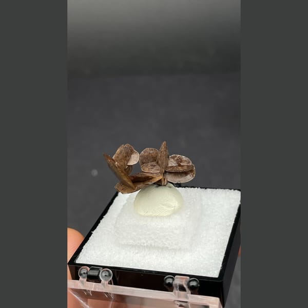 Chocolate calcite from Guangdong — detail view