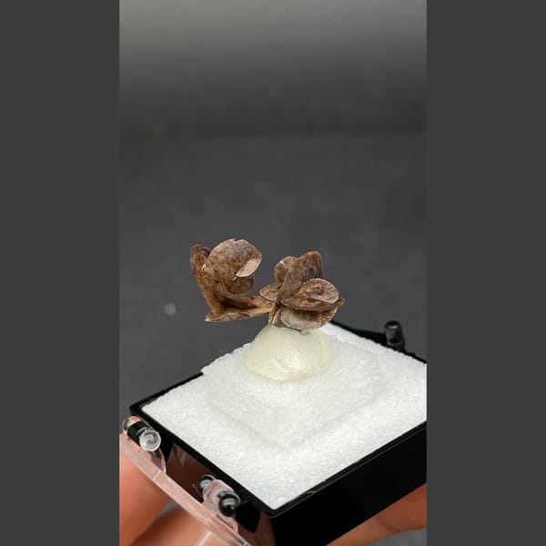 Chocolate calcite from Guangdong — detail view