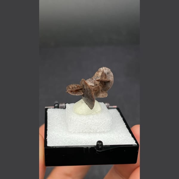 Chocolate calcite from Guangdong — detail view