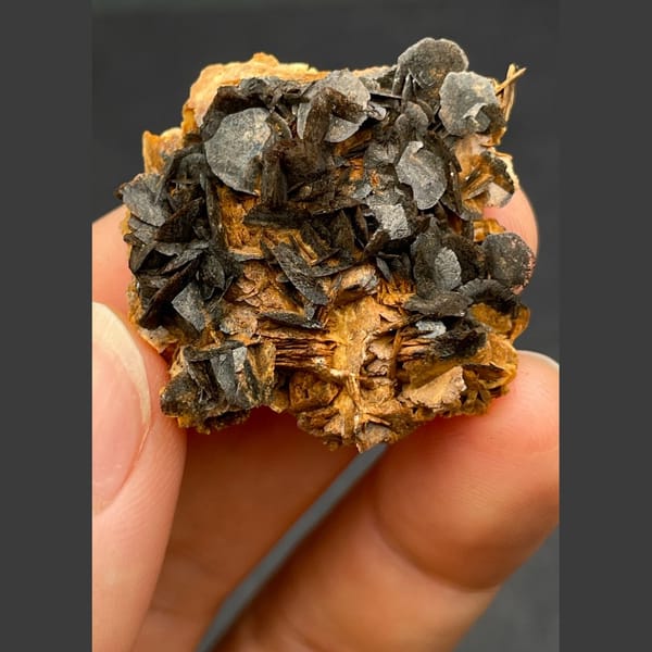 Chocolate calcite from Guangdong — complete view