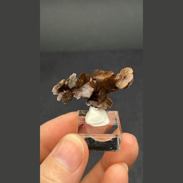 Chocolate-brown bladed calcite from Guangdong — complete view