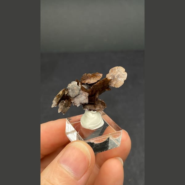 Chocolate-brown bladed calcite from Guangdong — alternate view