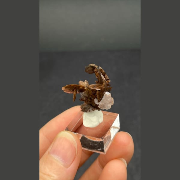 Chocolate-brown bladed calcite from Guangdong — alternate view