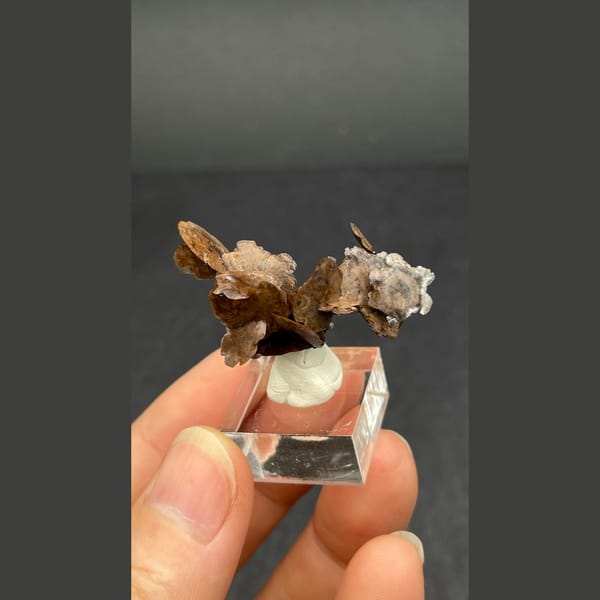 Chocolate-brown bladed calcite from Guangdong — detail view