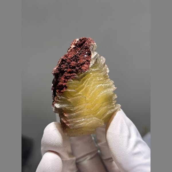 Layered honey yellow calcite on red matrix from Hubei — complete view