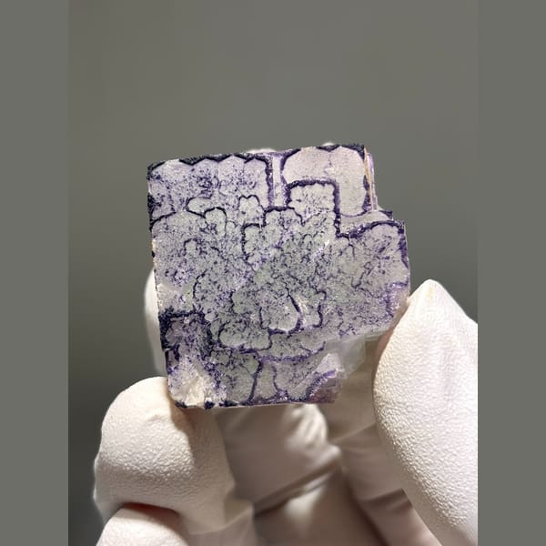 White fluorite with purple maze edging from Guizhou — complete view