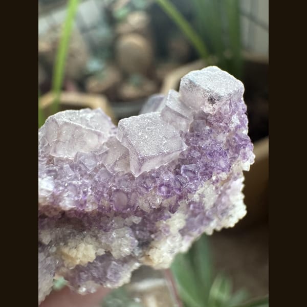 Purple Fluorite with White Coating 4.5 cm — alternate view