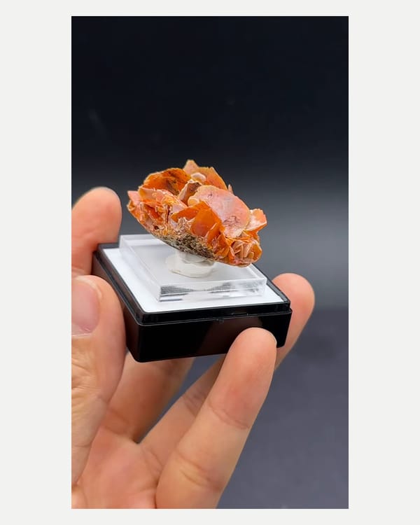 Complete reverse-side view of the exact orange wulfenite specimen