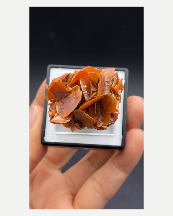Complete top view showing overlapping tabular wulfenite crystals