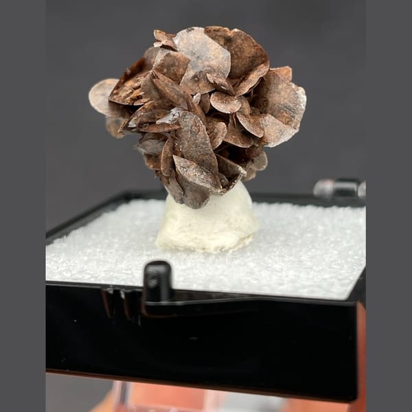 Chocolate calcite from Guangdong — complete view