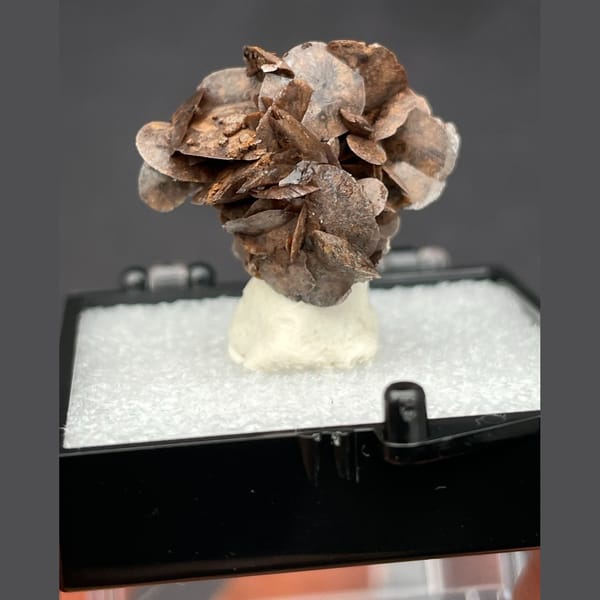 Chocolate calcite from Guangdong — alternate view