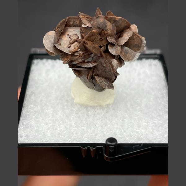 Chocolate calcite from Guangdong — alternate view