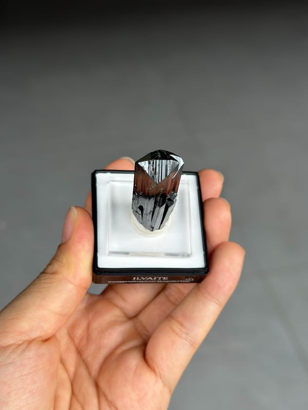 Glossy Black Ilvaite Column from Inner Mongolia — full specimen view 4 of 4