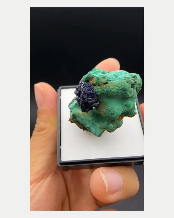 Complete side-reverse view of blue azurite with malachite