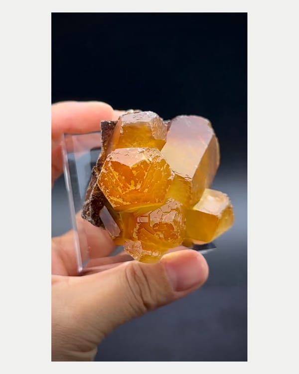 Complete side view of golden-yellow Fujian calcite cluster