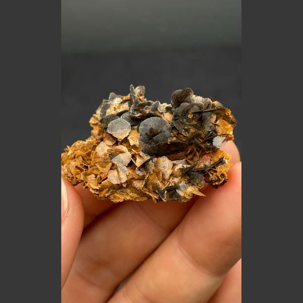 Chocolate calcite from Guangdong — complete view