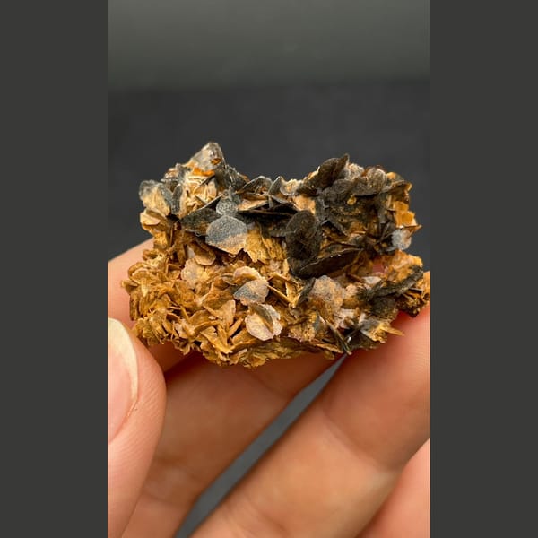 Chocolate calcite from Guangdong — alternate view