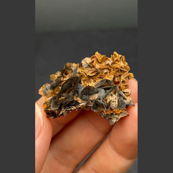 Chocolate calcite from Guangdong — detail view
