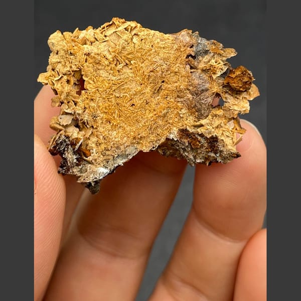 Chocolate calcite from Guangdong — detail view