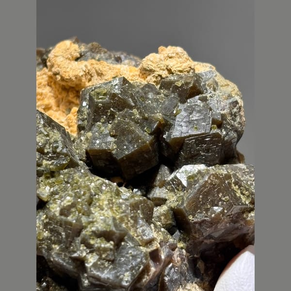 Olive green garnet cluster from Inner Mongolia — detail view