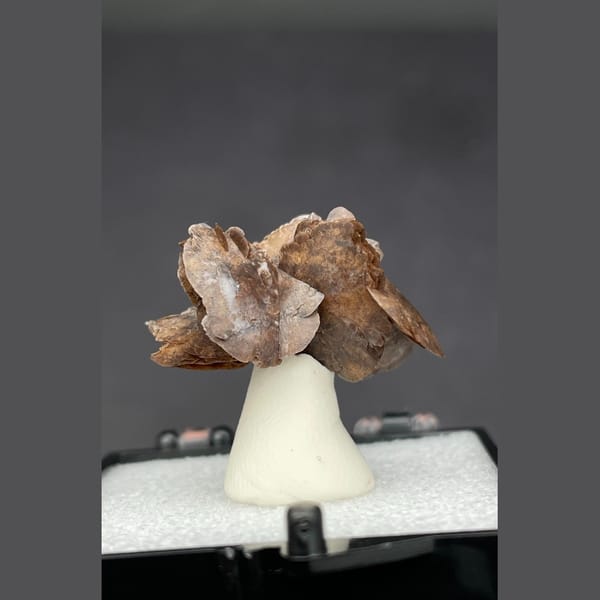 Chocolate calcite from Guangdong — complete view