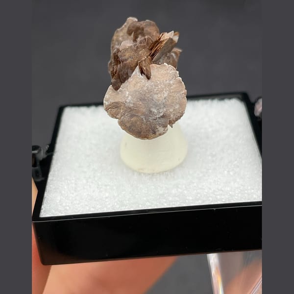 Chocolate calcite from Guangdong — alternate view