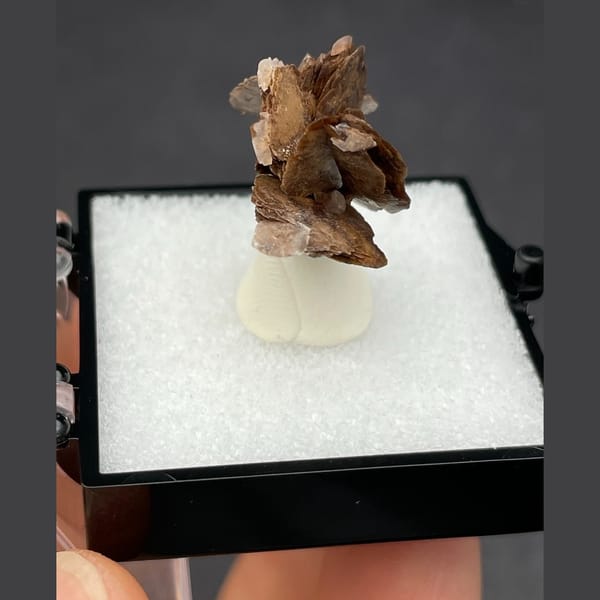 Chocolate calcite from Guangdong — detail view
