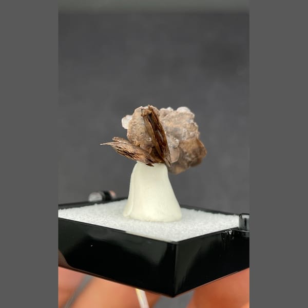 Chocolate calcite from Guangdong — detail view