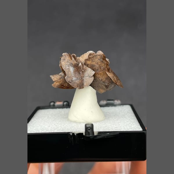 Chocolate calcite from Guangdong — detail view