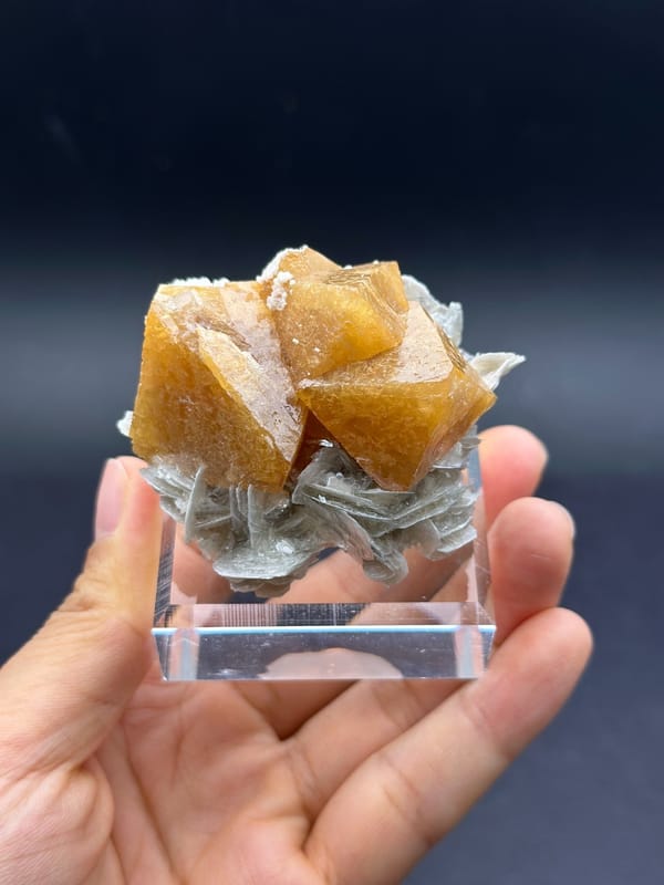 Honey Orange Scheelite Crystals on Mica, Xuebaoding — full specimen view 3 of 3
