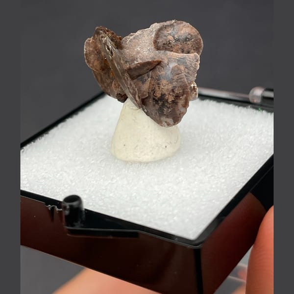 Chocolate calcite A from Guangdong — complete view