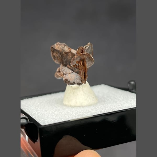 Chocolate calcite A from Guangdong — detail view