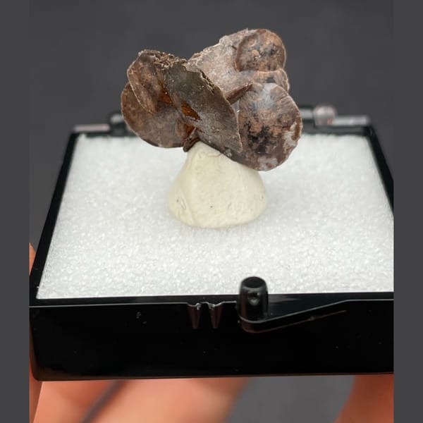 Chocolate calcite A from Guangdong — detail view